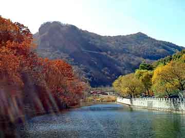 新澳天天开奖资料大全旅游团，医疗器械销售